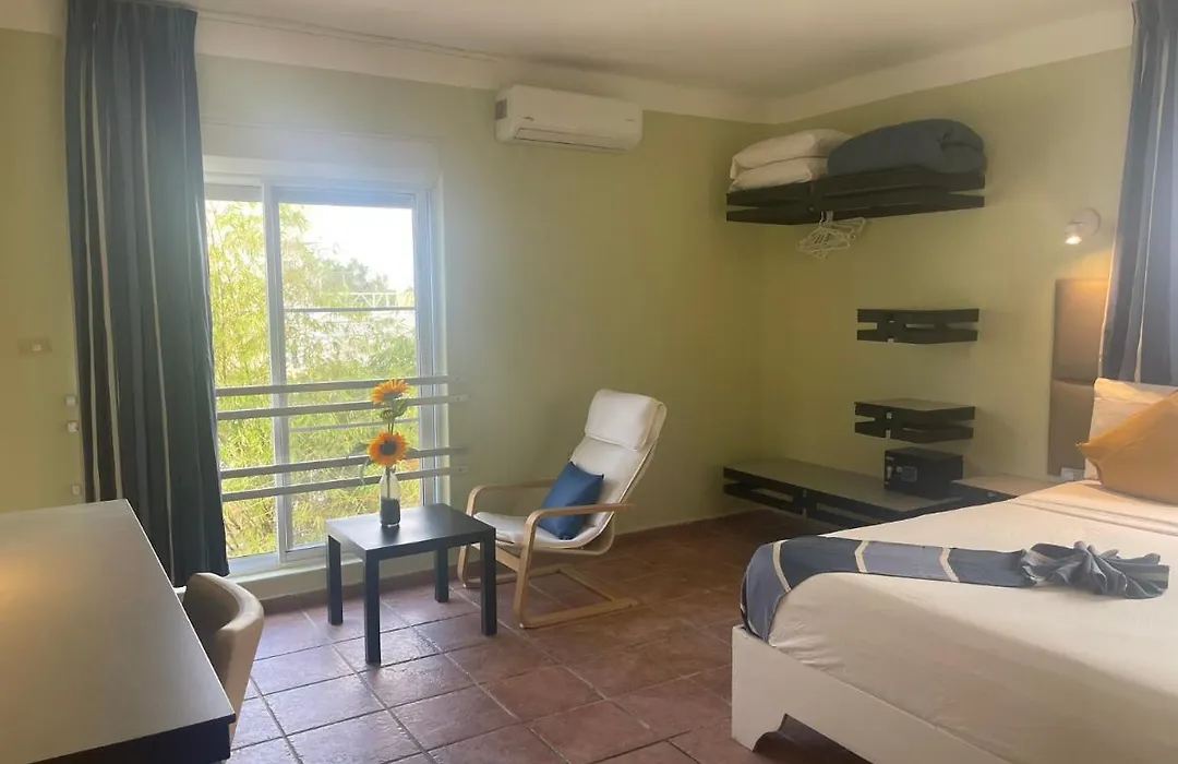 Villa Iguana-1